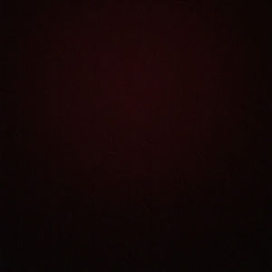 Meet your Posher, Kylee